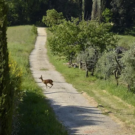 Séjour à la ferme Agriturismo La Prodaia